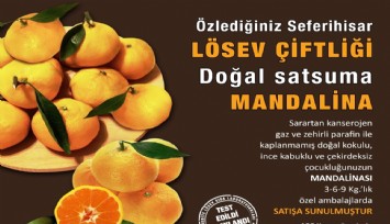 LÖSEV’in Seferihisar’da yetiştirdiği mandalinalara reklam yasağı