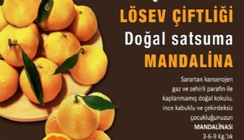 LÖSEV’den “doğal mandalina” açıklaması