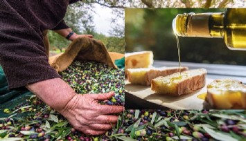 Zeytin ve zeytinyağı ihracatı, 136 milyon dolara ulaştı: Hedef 300 milyon dolar ihracat  