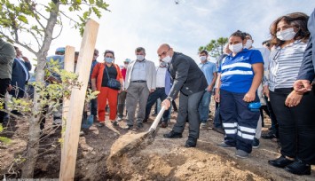 Büyük yangının ikinci yılında İzmir’de ormanları korumak için yeşil seferberlik