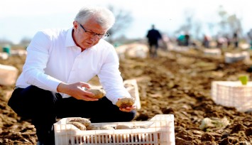 İzmir’de kestane Çin’den, patates Hollanda’dan