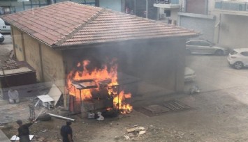 Yakılarak öldürülen köpek davasında yeni gelişme