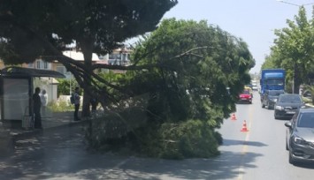 Aydın'da faciaya ramak kaldı