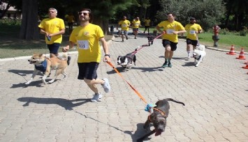 İzmir’de renkli görüntüler: Patili dostlarla koştular