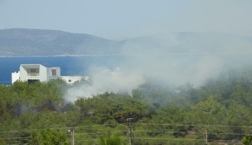 Çeşme'de çıkan yangın kısa sürede kontrol altına alındı