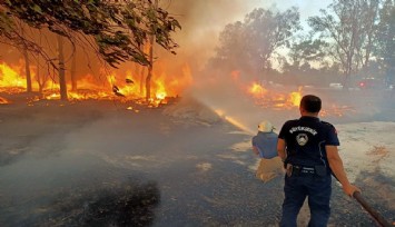 İzmir’in ormanlarını korumak için zabıta iş başında