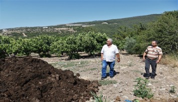 Bornova Belediyesinden örnek proje: Kurban satış yerlerinden toplanan gübreler çiftçinin tarlasına bereket getirdi