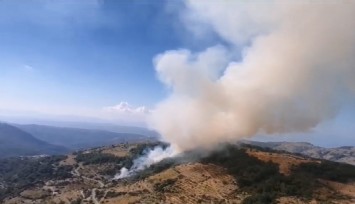 İzmir’deki orman yangını kontrol altına alındı