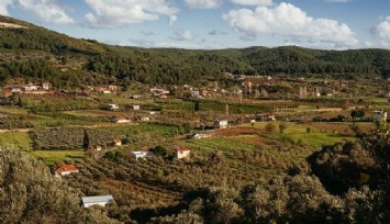 Seferihisar’ı mahkeme kararı da kurtaramadı: Tarım, orman ve zeytin alanına kurulacak santrale yeniden ÇED izni verdi