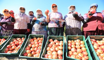 Üreticiye destek sürüyor: Nar neşesi şen tanesi şenliği bu pazar zeytinköy