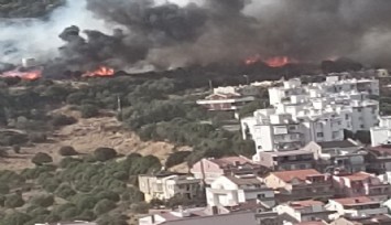 İzmir’de ormanlık alandaki yangın kontrol altında