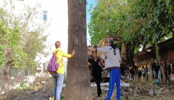 Belediyenin ağaç katliamına karşı vatandaş nöbeti