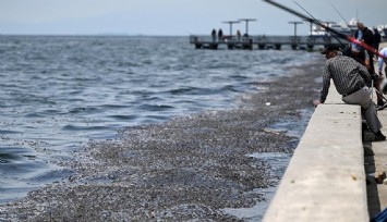 İZSU’dan körfez kirliliğine yanıt: Sorumluluk bakanlıkta