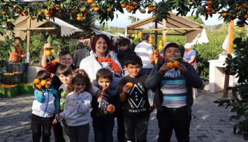 Karaburun Mandalina Şenliği, Yarımada tutkunlarının 14.kez lezzette buluşmasına ev sahipliği yapacak