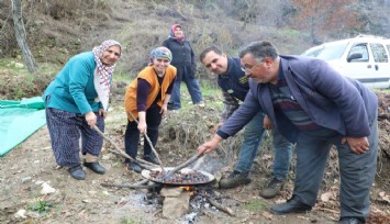 Denizli’de binbir zahmet kestane dönemi başladı