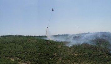 İzmir’de orman yangını: 5 helikopter, 2 uçak bölgede