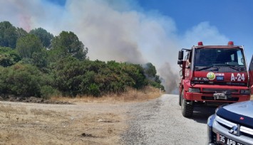 İzmir’de orman yangını