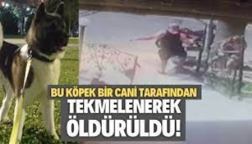 İzmir’de köpeği tekme darbesiyle öldürülen kadın, şüpheliden şikayetçi oldu