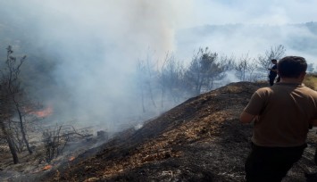 İzmir’de iki orman yangını birden başladı