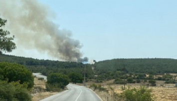 İzmir’de bir orman yangını daha başladı