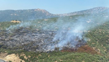 Araç yangını ormana sıçradı, havadan müdahale başladı