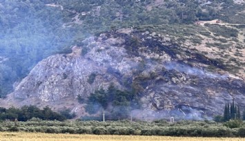 Manisa'da orman yangını bir saatte kontrol altına aldı