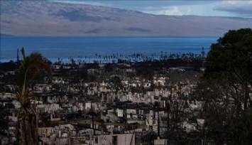 Hawaii'deki orman yangınlarında ihmal iddialarının ardından Acil Durum Yönetim Kurumu Başkanı istifa etti