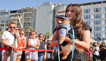 Patilerin Festivali can dostlara yuva oldu