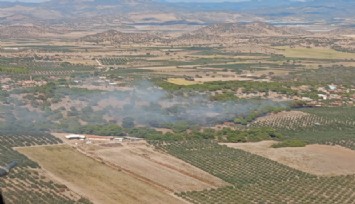 Dikili'de orman yangını: 4 uçak, 1 helikopter müdahale ediyor