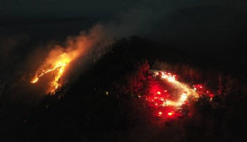 Gökova'da alevler 3 gündür sönmüyor