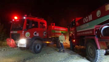 Kütahya - Bursa sınırındaki orman yangını söndürüldü