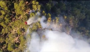 Denizli’deki orman yangınıyla mücadele devam ediyor