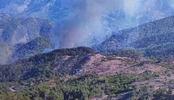 Muğla Köyceğiz’de orman yangını