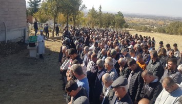 Denizli'de arı sokan şahıs hayatını kaybetti