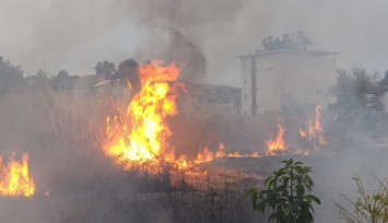 Manavgat'ta sazlık alandaki yangın korkuttu