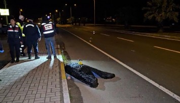 Nazilli'de feci kaza: Kardeşini korumak isterken kendi canından oldu