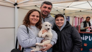 Konak’tan patili dostları sahiplendirme etkinliği