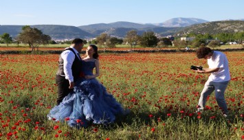 Muğla’da gelinler, ‘Gelincik’ tarlasına akın etti