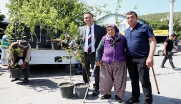 Bornova Belediyesi'nden ücretsiz meyve fidanı