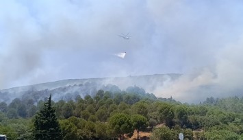 Bornova’daki orman yangını kontrol altına alındı  