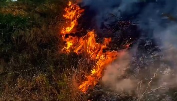 Söke'de makilik alanda yangın