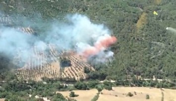 Bergama’daki orman yangınında bir mahalle tahliye edildi