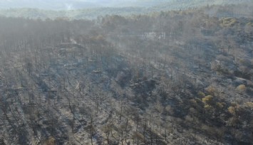 Selçuk'ta başlayan yangının çıkış noktası havadan görüntülendi