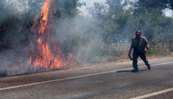 Selçuk'ta bir yangın daha: İlk müdahale vatandaşlardan