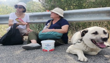 Köpeğiyle birlikte alevlerden kaçtı, o anları gözyaşları içinde anlattı