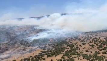 Manisa'da korkutan orman yangını