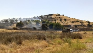 Aliağa'da yangın: Havadan ve karadan müdahale ediliyor