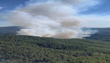 Bergama’daki orman yangına havadan ve karadan müdahale