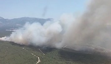 Buca’da orman yangını