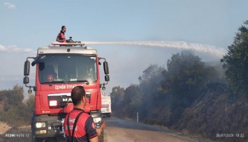 İzmir İtfaiyesi Dikili'de orman yangınına müdahale ediyor